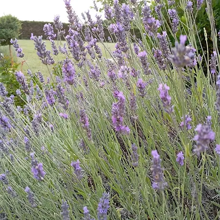 Domaine Les Moustans