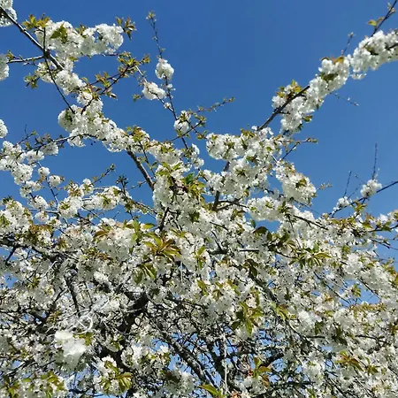 Domaine Les Moustans *