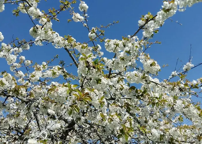 Domaine Les Moustans *